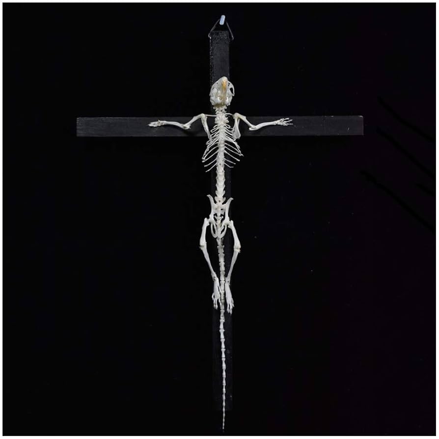 その他 revenge official QCK skeleton mouse doll その他 revenge official QCK skeleton mouse doll revenge